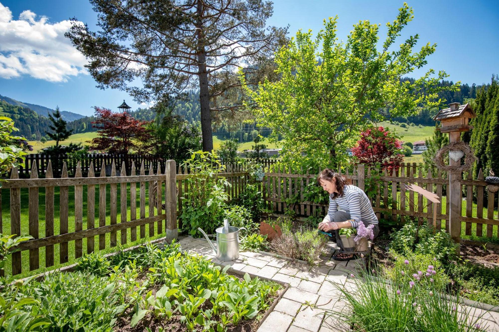 Pension Edelweiss Зёлль Экстерьер фото